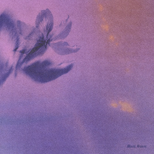 女人内裤露黑毛大全图片
