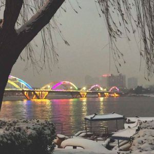 女人内裤露黑毛大全图片
