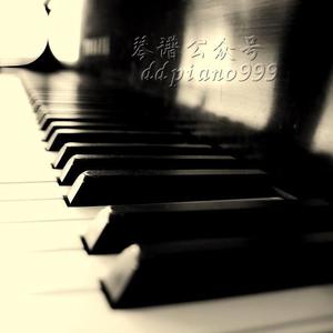 女人内裤露黑毛大全图片
